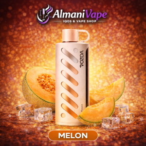 VOZOL Vape Gear Shisha 25000 Puff - شمام